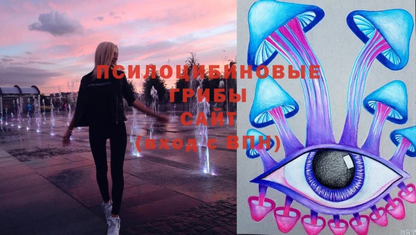 не бодяженный Белокуриха