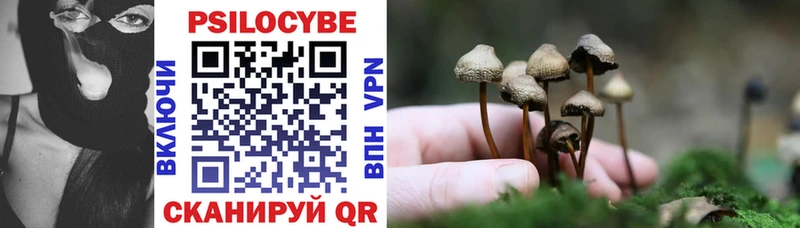 blacksprut ссылки  Городец  Псилоцибиновые грибы ЛСД 