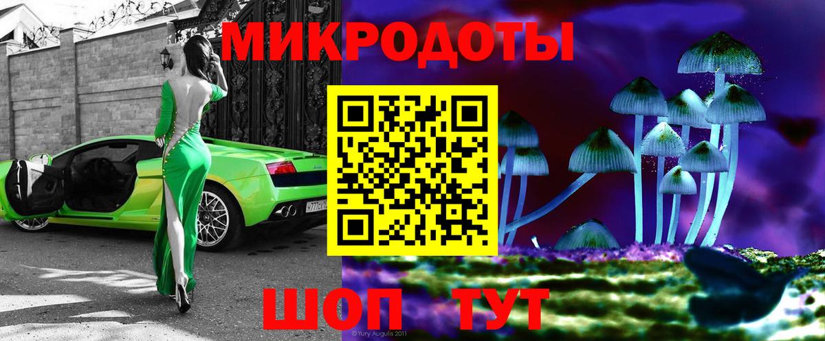 Галлюциногенные грибы прущие грибы  Вход с VPN  Городец  Галлюциногенные грибы Psilocybe 